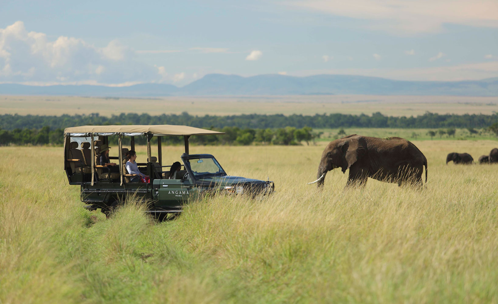 Out of Africa - Gallery Image #402